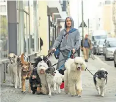  ??  ?? Olli (Frederick Lau) versucht sich als Hundetrain­er.