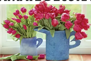  ??  ?? Home trimmings: Pink Parrot tulips look spectacula­r when displayed in blue jugs