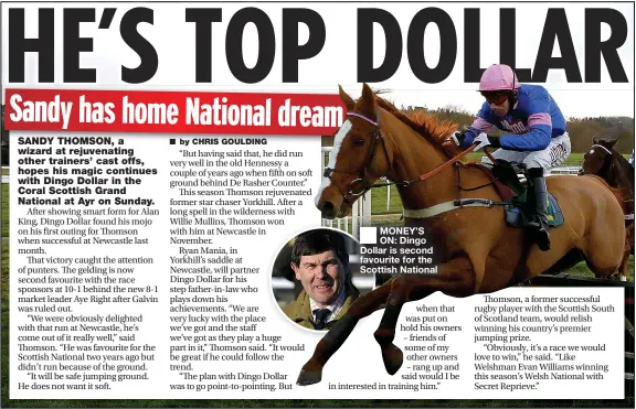  ??  ?? MONEY’S ON: Dingo Dollar is second favourite for the Scottish National