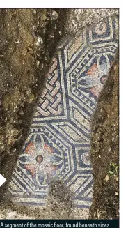  ??  ?? # segmenV oH Vhe mosaic ʚoor Hound beneaVh Xines – and uncovered just a week into the current dig