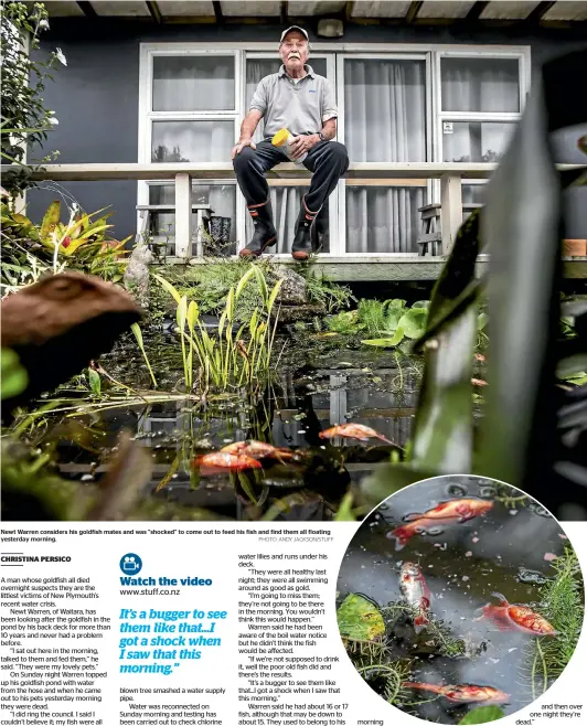  ?? PHOTO: ANDY JACKSON/STUFF ?? Newt Warren considers his goldfish mates and was "shocked" to come out to feed his fish and find them all floating yesterday morning.