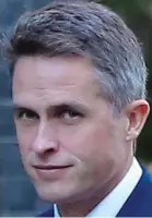  ??  ?? Warning: Gavin Williamson