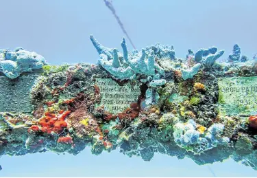  ?? ?? CLOSER TO NATURE Corals grow on memorial plaques at Neptune Memorial Reef where peoples’ remains are accompanie­d by colorful fish and other aquatic animals.