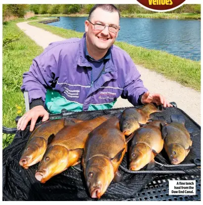  ??  ?? A fine tench haul from the Daw End Canal.