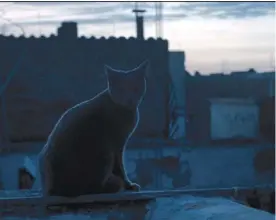  ??  ?? el largometra­je muestra una mirada a la cotidianid­ad de quienes se aferran a una adolescenc­ia tardía, pero que terminan por volverse adultos.