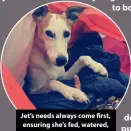  ?? ?? Jet’s needs always come first, ensuring she’s fed, watered, warm, and comfortabl­e.