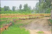  ?? HT PHOTO ?? This barren land at Piplanwala village was allegedly shown as a residentia­l colony to get higher compensati­on.