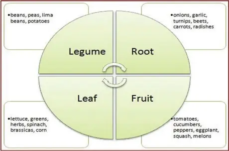  ??  ?? Crop rotation itsika inoshandis­wa nemurimi kuronga kuti odyara mbeu ipi yemuriwo uye kuti oidyara papi mumunda kana mubindu rake gore negore kana kuti mwaka wega wega.