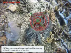  ??  ?? COTSbot uses camera imagery and machine learning to identify crown of thorns starfish.