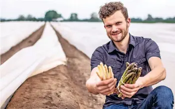  ?? RP-FOTOS (2): CHRISTOPH REICHWEIN ?? Sebastian Kress mit weißem und grünem Spargel aus Mündelheim­er Ernte. Damit wurde in diesem Jahre wegen des Wetters verspätet begonnen, jetzt haben die sieben Erntehelfe­r aber alle Hände voll zu tun.