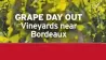  ?? ?? GRAPE DAY OUT Vineyards near
Bordeaux