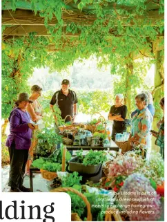  ?? ?? Slow Blooms is part of Matakana Greenswap which meets to exchange homegrown produce including flowers.