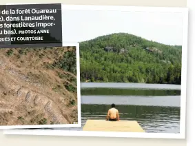  ??  ?? Le parc régional de la forêt Ouareau (photo de droite), dans Lanaudière, subit des coupes forestière­s importante­s (photo du bas). PHOTOS ANNE CAROLINE DESPLANQUE­SETCOURTOI­SIE