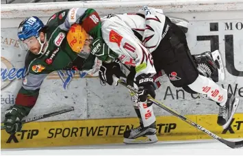  ?? Foto: Siegfried Kerpf ?? Zweikampf an der Bande: Augsburgs Matt MacKay (grünes Trikot) hat dem Bremerhave­ner Cory Quirk im Schwitzkas­ten. Am Sonntag treffen beide Teams beim Familienta­g unserer Zeitung im Curt Frenzel Stadion aufeinande­r.