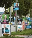  ?? Foto: Klaus Rainer Krieger ?? Die AFD hat ihre Plakate extra hoch aufgehängt.