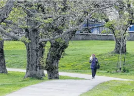  ?? ERIC WYNNE ■ CHRONICLE HERALD FILE ?? A pedestrian goes for a stroll through Dartmouth Common on May 18, 2022. This park is one of several that residents say needs lighting.