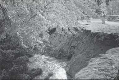  ?? Canadian Press photo ?? A man looks at a sinkhole in Oxford, N.S. last week. The town is urging the public to take caution as officials scramble to assess the massive, expanding sinkhole that has sucked up surroundin­g trees and picnic tables.