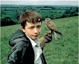  ??  ?? David Bradley features in Kes, as a bullied, outcast boy who bonds with a kestrel.