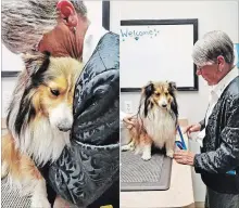  ?? PHOTOS COURTESY OF K9 TRACKER S&R ?? Diane VanStroe with her sheltie Max, who went missing during their move from Welland to Port Colborne June 15 and was found on an ATV trail a few kilometres from their old house on Monday.