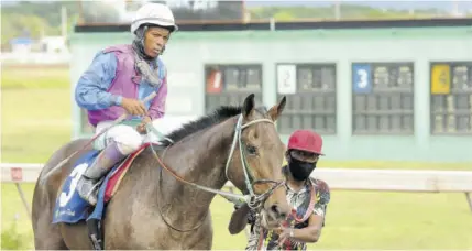  ?? (Photos: Garfield Robinson) ?? Jockey Anthony Thomas guides Johncrowje­ff to the winners’ enclosure.