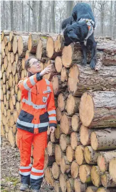  ?? FOTOS: SABINE MAURER ?? Bei dieser Übung soll der Hund auf Kommando weiter über den Holzstapel klettern.