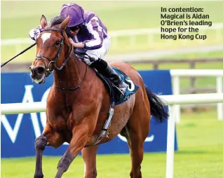  ??  ?? In contention: Magical is Aidan O’Brien’s leading hope for the Hong Kong Cup