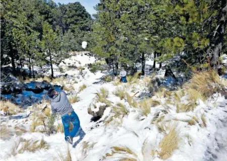  ?? /FOTOS: TOMÁS BAÑOS ?? Visitantes al Parque Nacional Malinche disfrutaro­n de la nieve