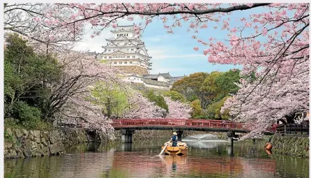  ?? PHOTOS: 123RF/GETTY IMAGES ?? Himeji Castle with beautiful cherry blossoms in spring at Hyogo, near Osaka, Japan. Main image: Women view blooming cherry trees at Chidorigaf­uchi in Tokyo.