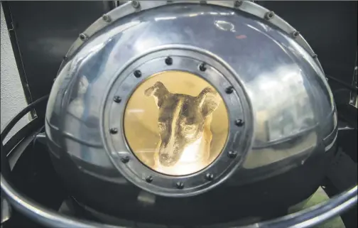  ?? Picture: AFP ?? ON DISPLAY. An effigy of the dog Laika, in 1957 the first living creature to go into space, inside a replica of satellite Sputnik II at the Central House of Aviation and Cosmonauti­cs in Moscow.