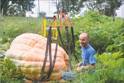  ?? Cassandra Day / Hearst Connecticu­t Media / ?? Matt DeBacco, of Rocky Hill ,grows six giant pumpkins every year in his 6,000-square-foot backyard garden. This year was a particular­ly good one, DeBacco said, as usually his harvest is three of the gourds. Many are lost to cracking or splitting open,...