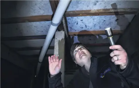  ?? PHOTO PETER MCINTOSH ?? Lisa BurroughEc­o design adviser, Dunedin City CouncilEco design adviser Lisa Burrough checks the underfloor insulation on a Dunedin property.