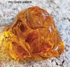  ??  ?? POLISHED AMBER