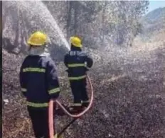  ?? — Photo courtesy of BFP Sibalom ?? FOREST FIRE
The Bureau of Fire Protection subdue a forest fire in the Municipali­ty of Sibalom on the evening of March 6, 2024. Community Environmen­t and Natural Resources Office chief Louie Laud said in an interview Wednesday (March 13) that forest fires destroyed 116.43 hectares covered by the National Greening Program in Antique.