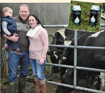  ??  ?? Julian Twomey and Gerald Burns with their son, Óisín, pictured with some of their pedigree dairy herd at Ardrahan Farm in Dromtariff­e where Lullaby Milk is produced.