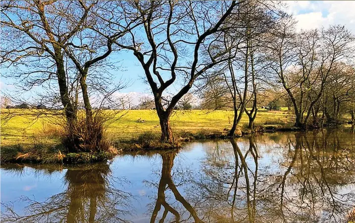  ?? ?? ●●Macclesfie­ld Canal in the spring sunshine - from Peter Johns