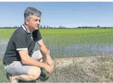  ?? FOTO: JULIUS MÜLLER-MEININGEN ?? Landwirt Giancarlo Canella macht sich Sorgen um sein Feld im Po-Delta. Der Reis, den er dort anbaut, braucht viel Süßwasser.