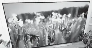  ?? ?? LG OLEDC1P comes in the widest variety of sizes of any OLED TV.