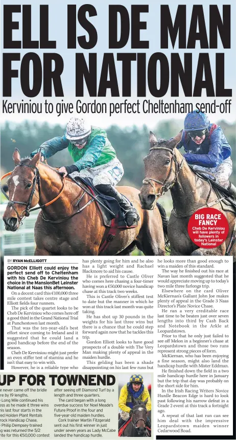  ??  ?? BIG RACE FANCY Cheb De Kerviniou will have plenty of followers in today’s Leinster National