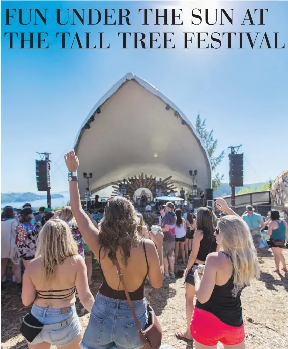  ??  ?? Fans cheer at the Tall Tree Stage on Brown's Mountain during the Tall Tree Music Festival.