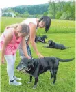  ?? FOTO: KLASSE 4 GRUNDSCHUL­E DENKINGEN ?? Claudia Barczewski zeigt Nora Berens wie und wo ein Hund gestreiche­lt werden möchte.