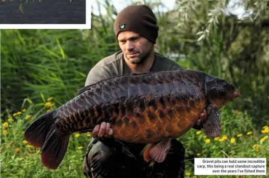  ??  ?? Gravel pits can hold some incredible carp, this being a real standout capture over the years I’ve fished them