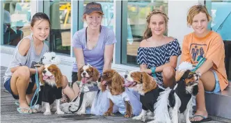  ??  ?? Isabelle Young, Katura Halleday, Sophia Brown and Matika Halleday with their dogs.