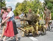  ??  ?? Eine Wildsau im Maisfeld sehen Landwirte nicht gerne. Beim Umzug war das erlegte und präpariert­e Tier gestern jedoch ein besonderer Hingucker.