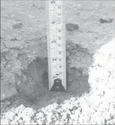  ??  ?? The thickness of the №. 52 Cross Street and Middle Walk access South of Public Road as measured by the Audit Office is 2 inches. The Regional Administra­tion however paid for the constructi­on of a 4 inch thick road.