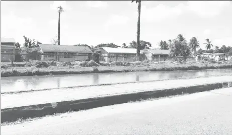  ??  ?? A section of the canal in front of Uncle Eddies home that was recently cleared.