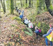  ?? ?? Ballyhooly 88th Beavers, pictured on a hike in the forestry.