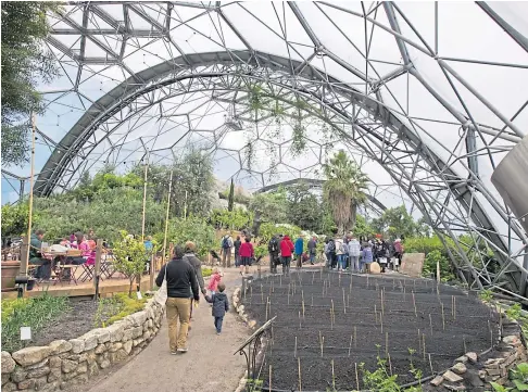  ??  ?? GREEN FOR GO: The Eden Project in Cornwall is a huge success and hopes are high for the Dundee equivalent.