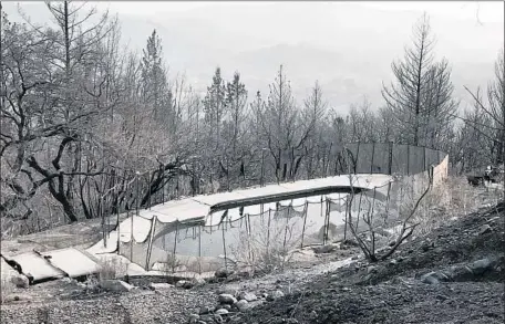  ?? Robin Abcarian Los Angeles Times ?? THE PASCOES spent six hours in this pool, which saved their lives. “Everyone wants to hug us, and I love it,” Jan LeHecka Pascoe says.