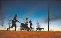  ?? AAron Ontiveroz, Denver Post file ?? Jason Romero, who has night blindness, uses a headlamp and a stroller with headlights to add contrast to the roadway on a predawn run with his coach Carly Gerhart, friend Joanna Oomkes and her dog, Moab.