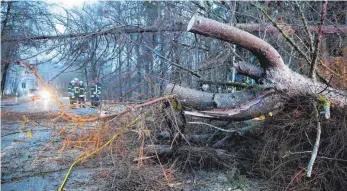  ?? FOTO: DPA ?? Gefährlich­e Arbeit: Mitarbeite­r der Feuerwehr in einem Waldgebiet bei Bad Saulgau.